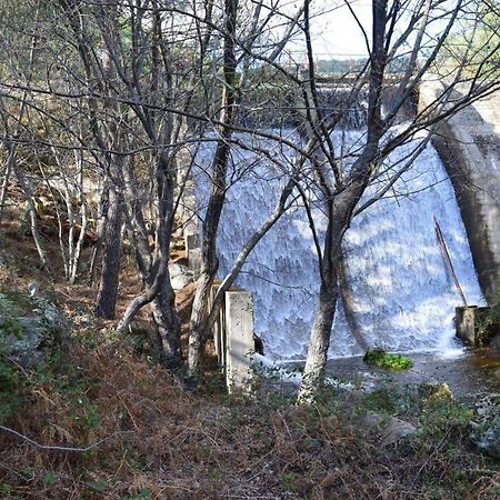 Vut- La Deliciosa Daire Sotillo de la Adrada Dış mekan fotoğraf